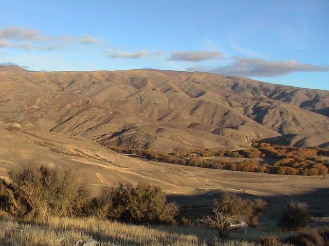 dsc00154.jpg