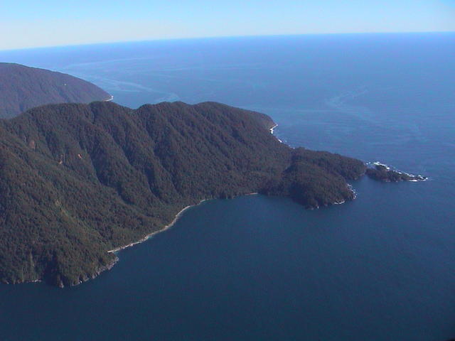 dsc00177.jpg