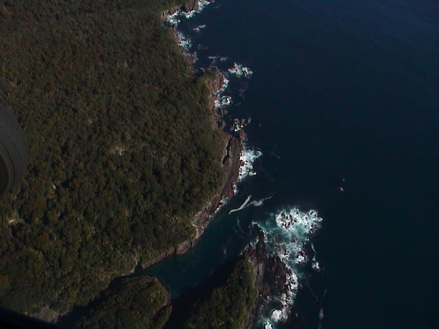 dsc00179.jpg
