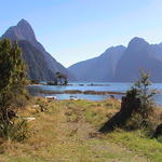 dsc00182.jpg