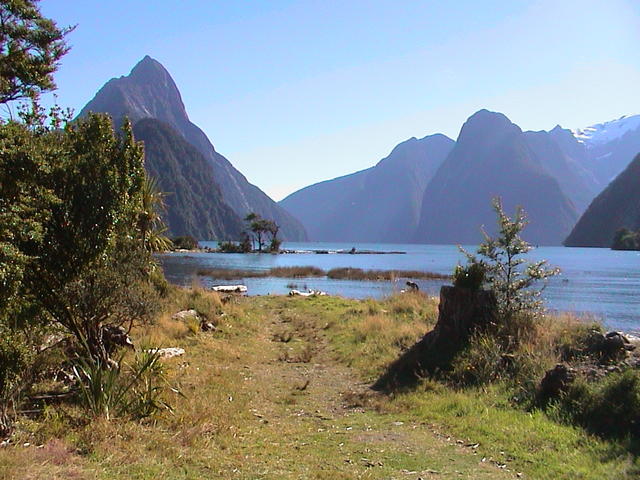dsc00182.jpg