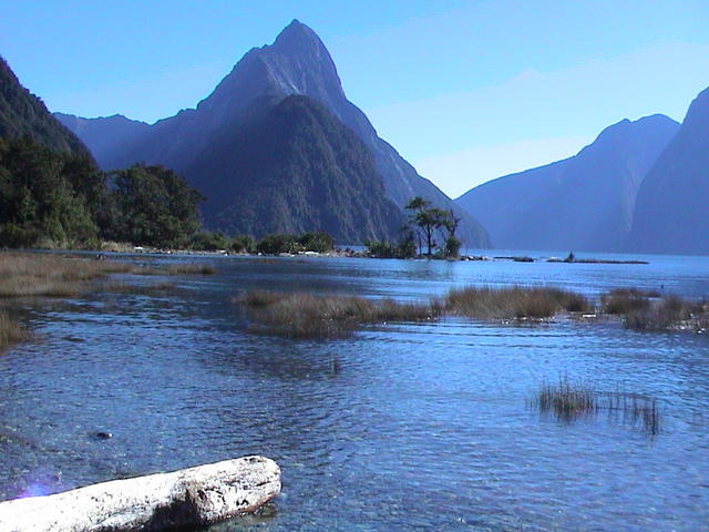 dsc00184.jpg