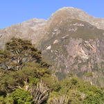 dsc00188.jpg