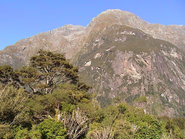 dsc00188.jpg