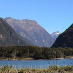dsc00194.jpg