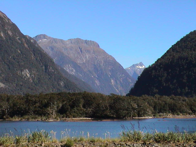 dsc00194.jpg
