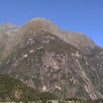 dsc00195.jpg