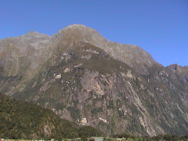 dsc00195.jpg
