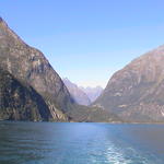 dsc00202.jpg