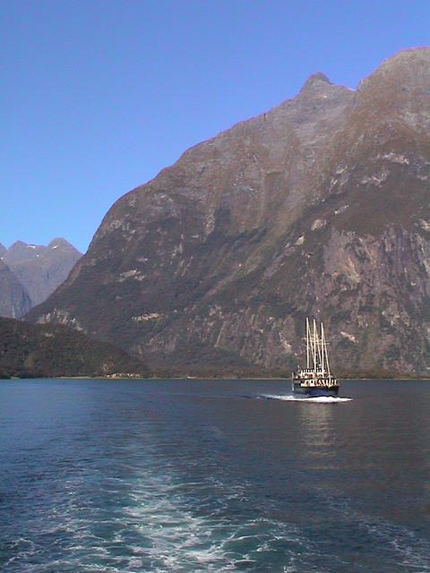dsc00203.jpg