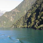 dsc00204.jpg