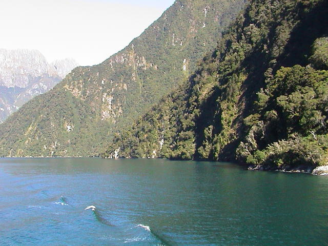dsc00204.jpg