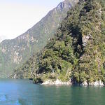 dsc00205.jpg