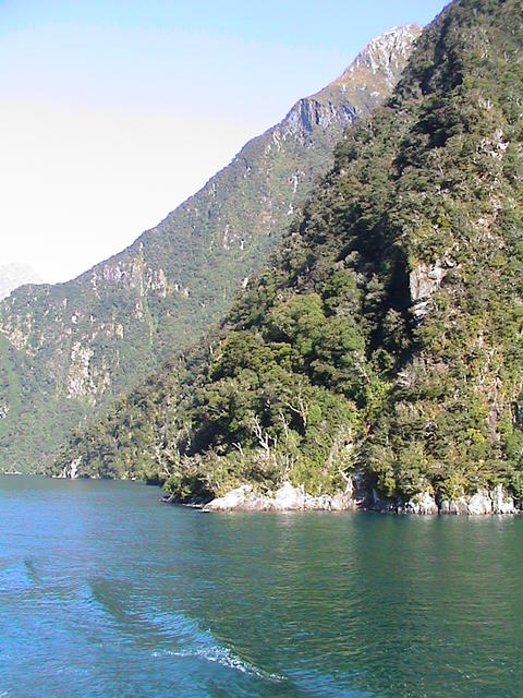 dsc00205.jpg