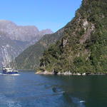 dsc00206.jpg