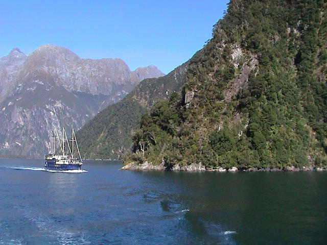 dsc00206.jpg
