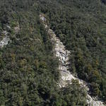 dsc00207.jpg
