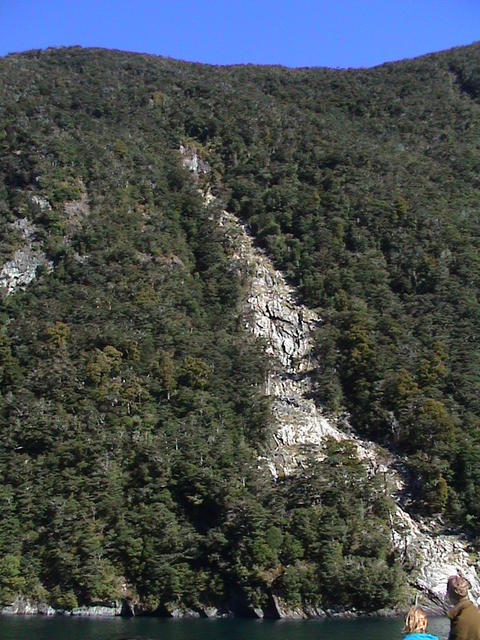 dsc00207.jpg