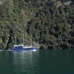 dsc00208.jpg