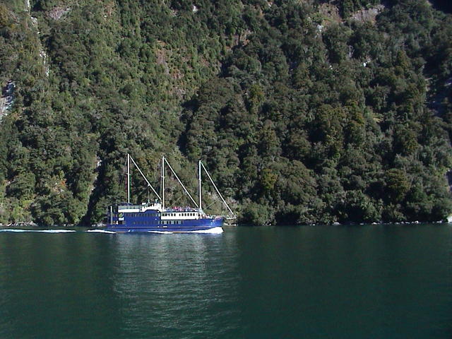 dsc00208.jpg