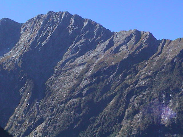 dsc00209.jpg