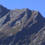 dsc00210.jpg