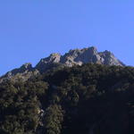 dsc00212.jpg