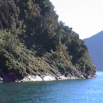 dsc00214.jpg