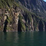 dsc00215.jpg