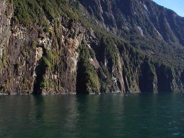 dsc00215.jpg