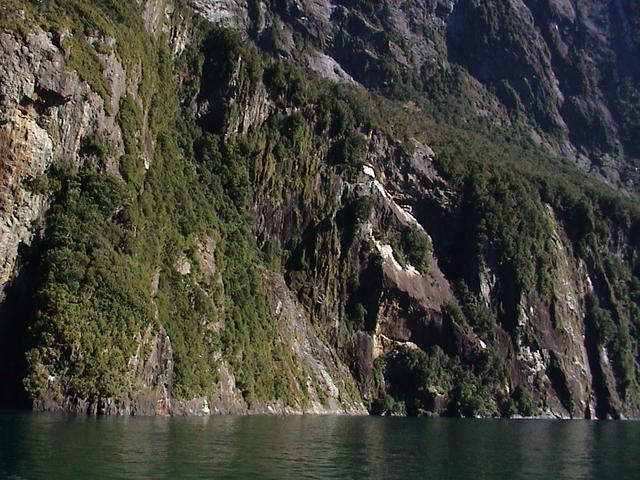 dsc00216.jpg