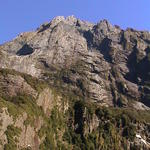 dsc00217.jpg