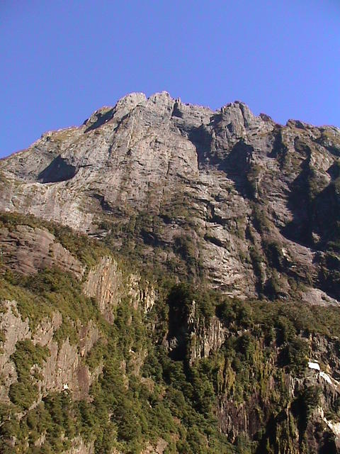 dsc00217.jpg