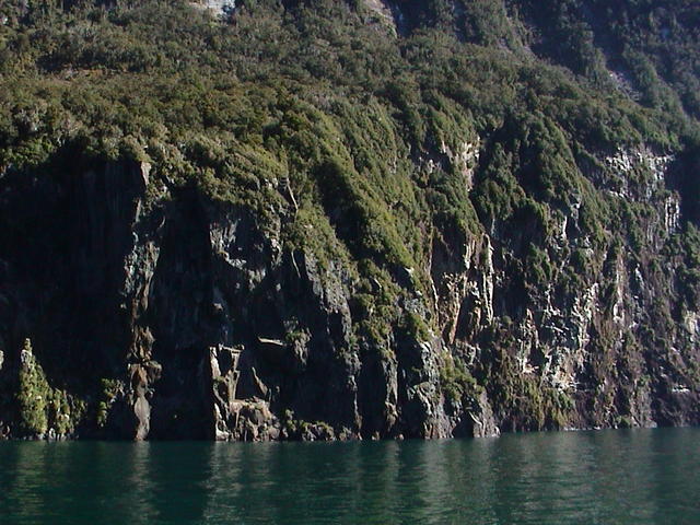 dsc00219.jpg