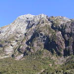 dsc00220.jpg