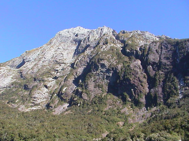 dsc00220.jpg