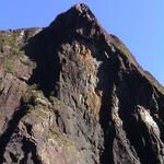 dsc00224.jpg