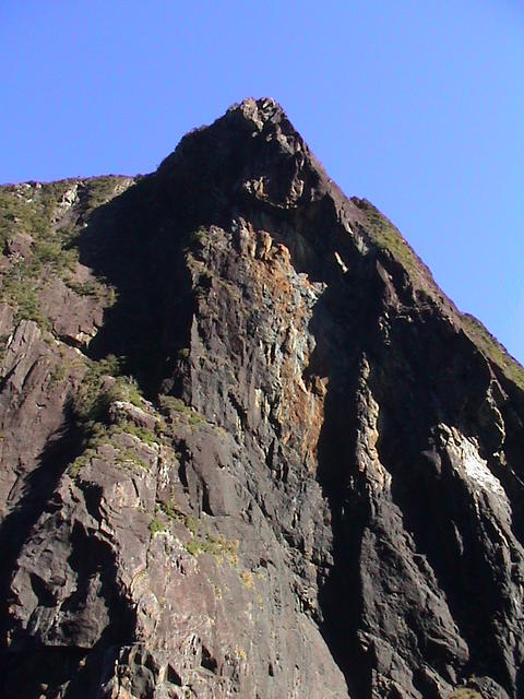 dsc00224.jpg