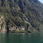 dsc00225.jpg