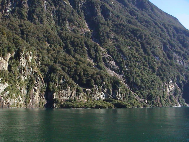 dsc00225.jpg