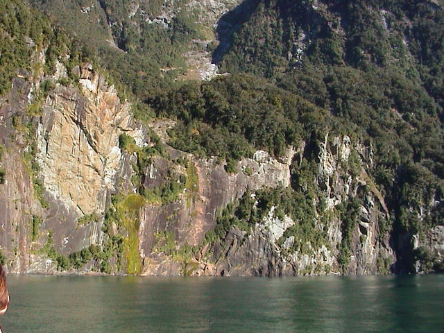 dsc00226.jpg