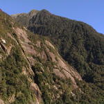 dsc00229.jpg