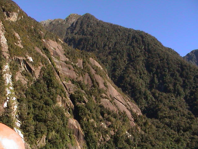 dsc00229.jpg