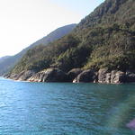 dsc00231.jpg
