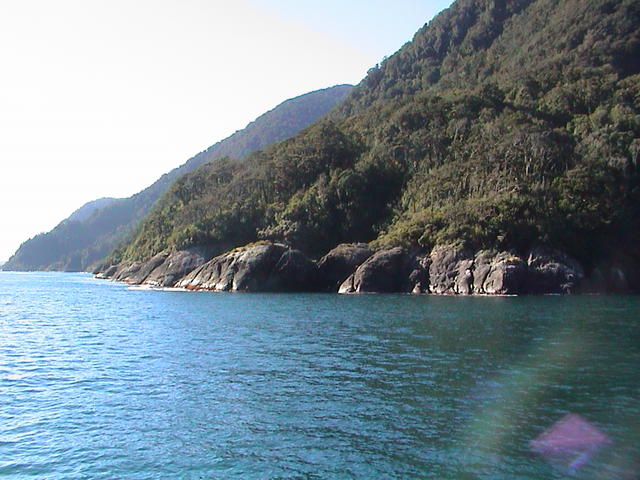 dsc00231.jpg