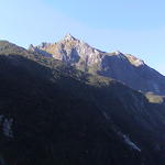 dsc00006.jpg