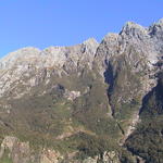 dsc00007.jpg