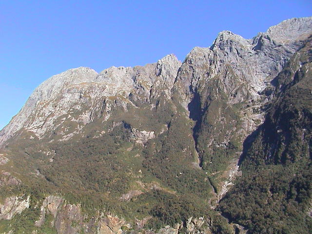 dsc00007.jpg