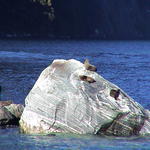 dsc00009.jpg