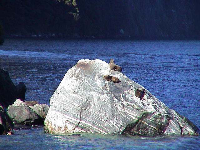 dsc00009.jpg